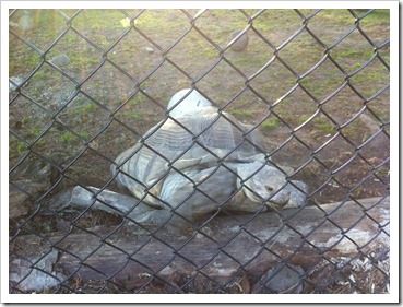 iPhone 2011 Part II 387